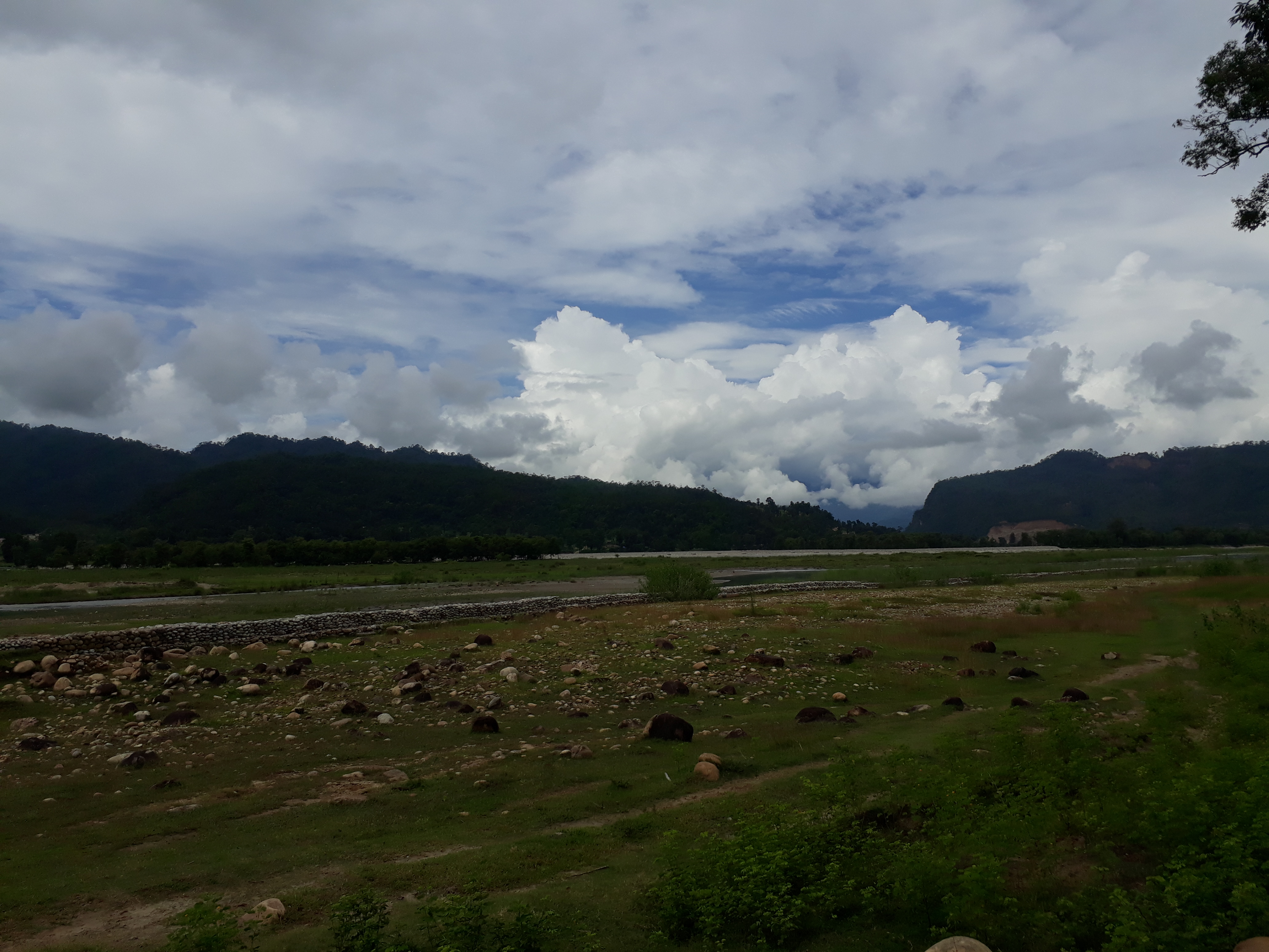 Living Landscapes